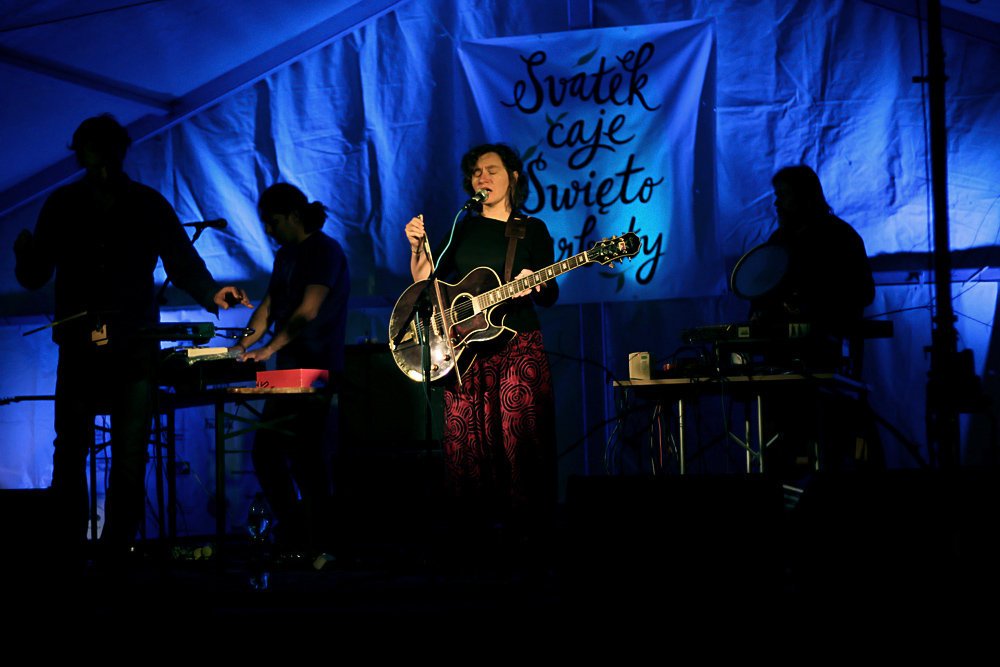 Unveiling the Musical Magic: Profile Bandcamp Marchcirisanobillboard