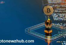 cryptonewzhub.com internet