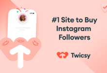 Buying Instagram Followers Twicsy