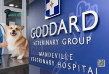 Goddard Veterinary