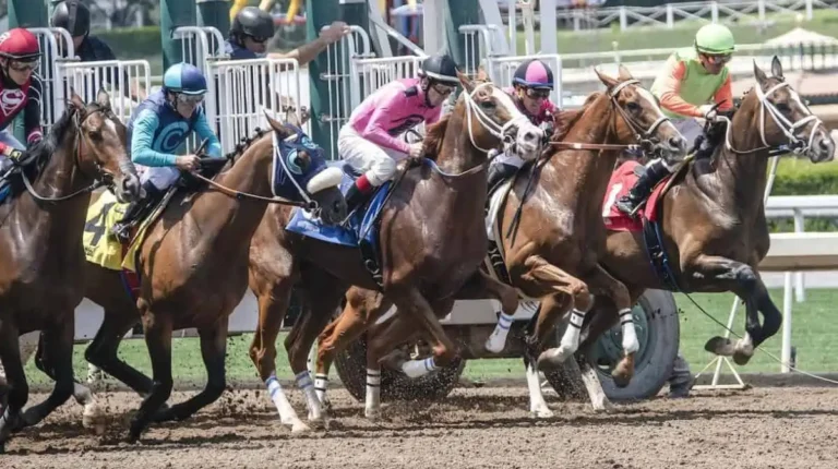 Race Results Unleashed: Revving Up the Predictive Power