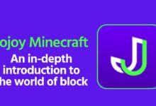Jojoy Minecraft